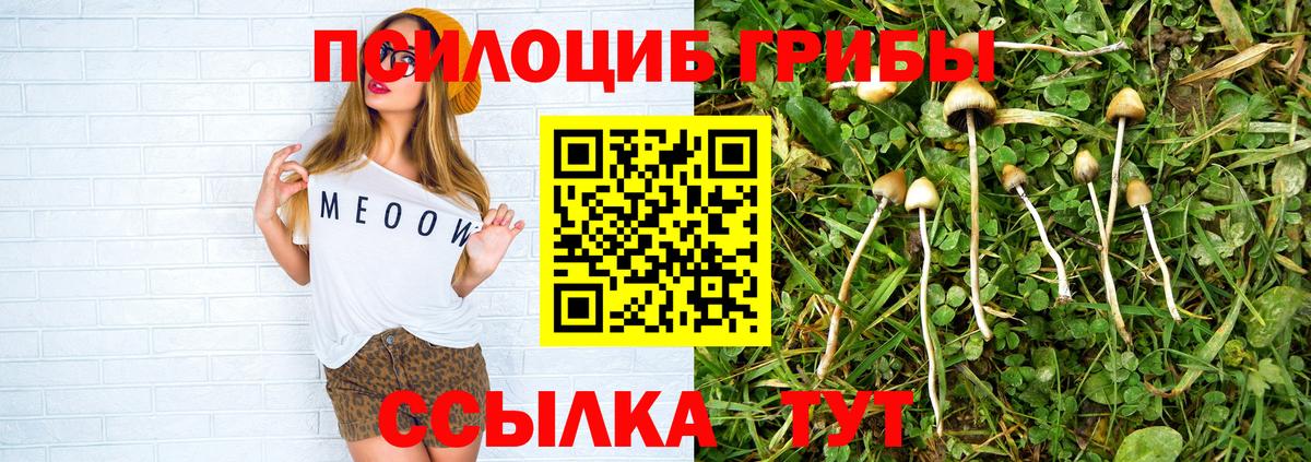 Галлюциногенные грибы мухоморы  Вход с VPN  Кохма  Псилоцибиновые грибы MAGIC MUSHROOMS 